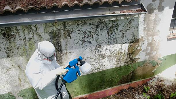 Top rated local Attic Mold Remediation specialists in Millersburg, PA